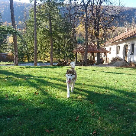 Musical Pansion Radgost, Rtanj